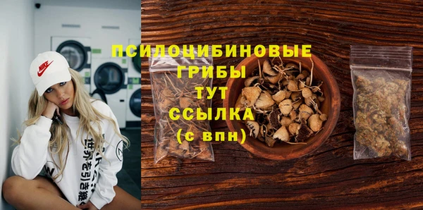 сатива Дегтярск