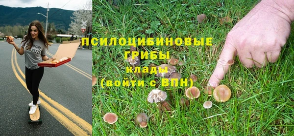дурь Протвино