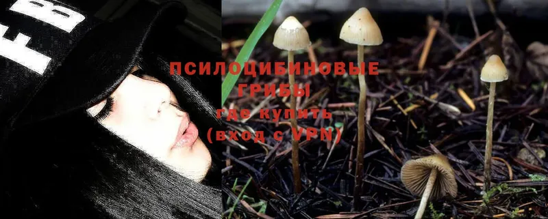 Псилоцибиновые грибы Magic Shrooms  Анжеро-Судженск 