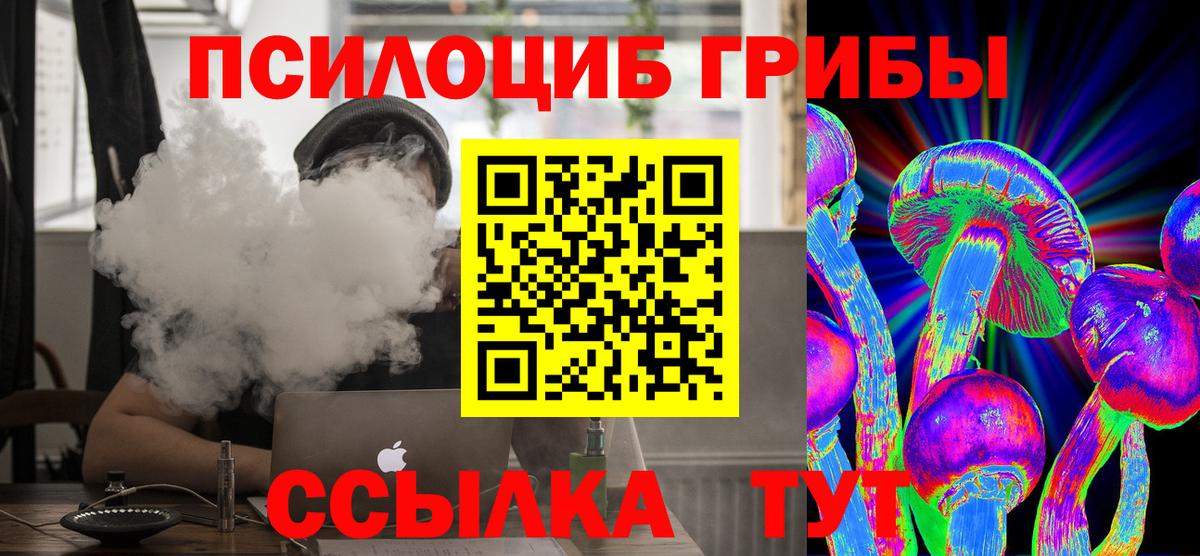 Псилоцибиновые грибы Cubensis  Псилоцибиновые грибы MAGIC MUSHROOMS  Анжеро-Судженск 