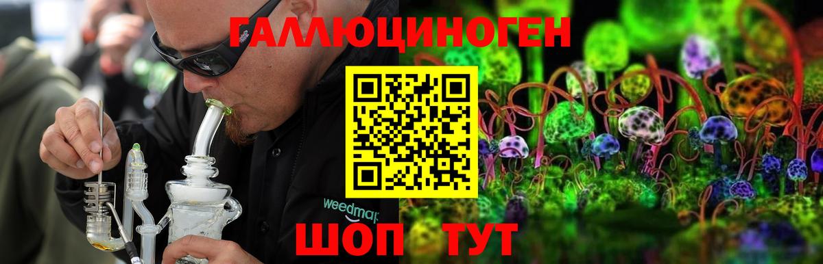 Галлюциногенные грибы Psilocybine cubensis Анжеро-Судженск